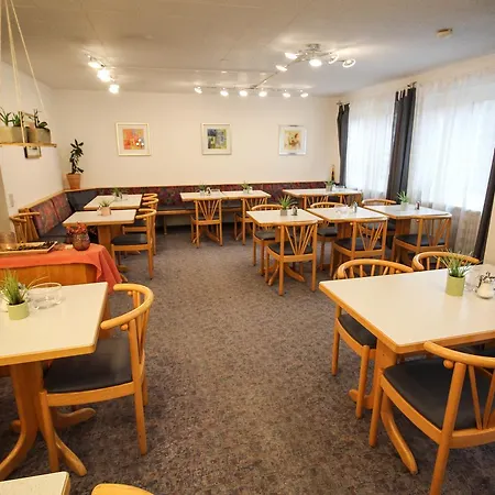 瑞莱克斯酒店 3* 辛根